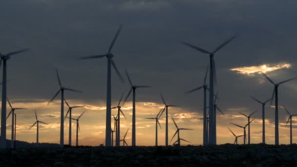 Macht windmolens in de woestijn van Californië bij zonsondergang — Stockvideo