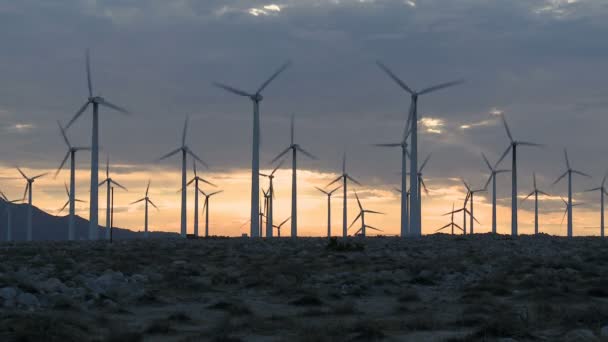 Mocy wiatraków na pustyni kalifornijskiej o zachodzie słońca — Wideo stockowe