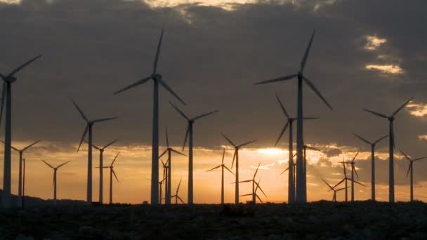 Moulins à vent électriques dans le désert de Californie au coucher du soleil — Video