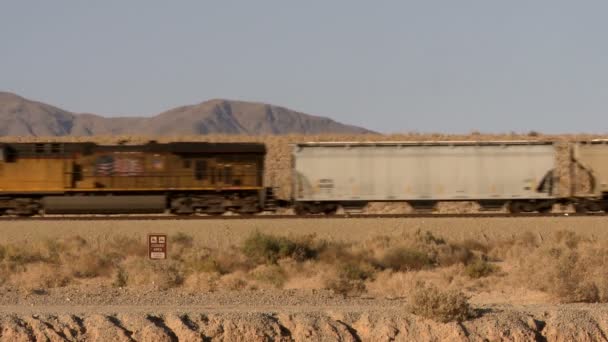 Trein in de woestijn — Stockvideo