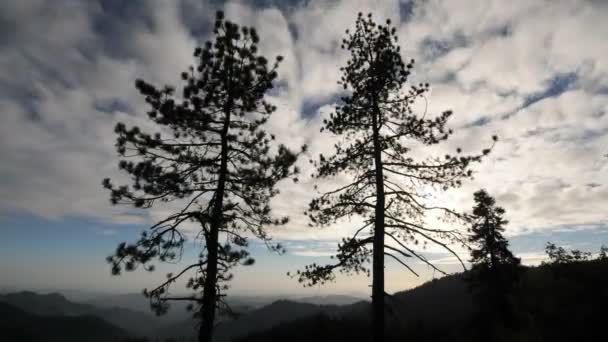 Clouds and Trees Time Lapse - Perfect — Stock Video