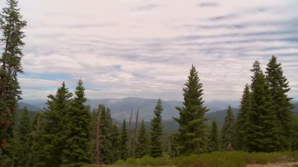 Nuvens Árvores lapso de tempo — Vídeo de Stock