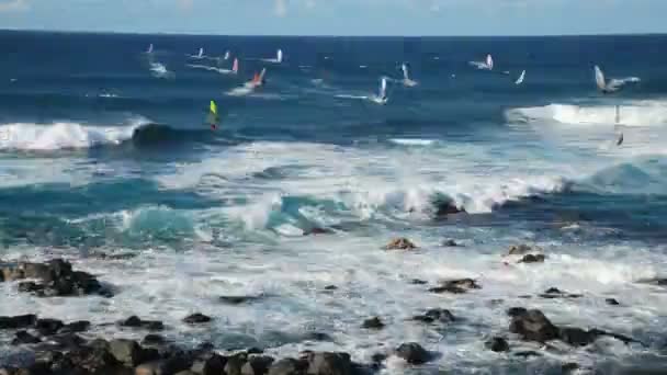 Maui Windsurfer und kühle Wellen - Zeitraffer — Stockvideo