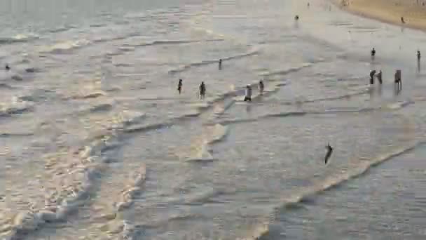 Beach Crowds - Time Lapse of ocean waves — Stock Video