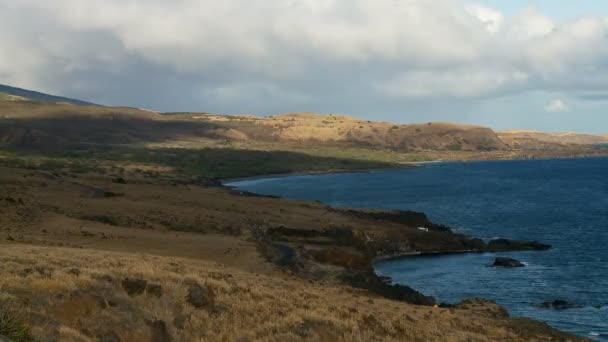 Ocean Shore Time Lapse - Maui Havaí — Vídeo de Stock