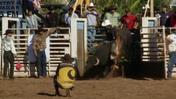 Rodeo Cowboys - Bull Riding in slow motion — Video Stock