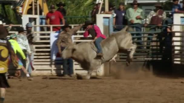 Rodeo cowboys - tjur ridning i slow motion — Stockvideo