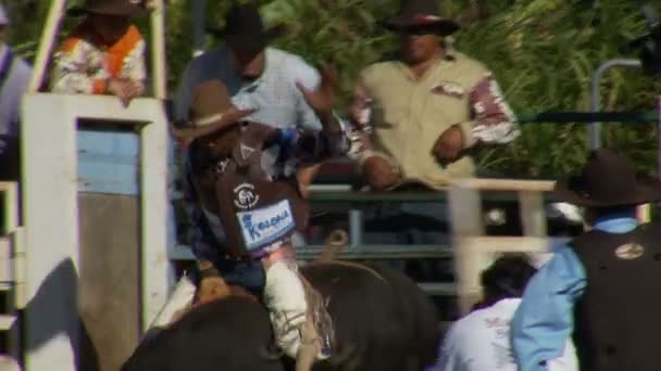 Rodeo Cowboys - bika lovaglás a lassú mozgás — Stock videók