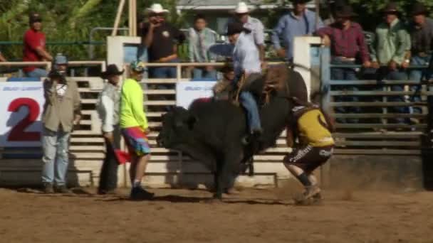 Rodeo Cowboys - Bull Riding in Slow Motion — Stock Video