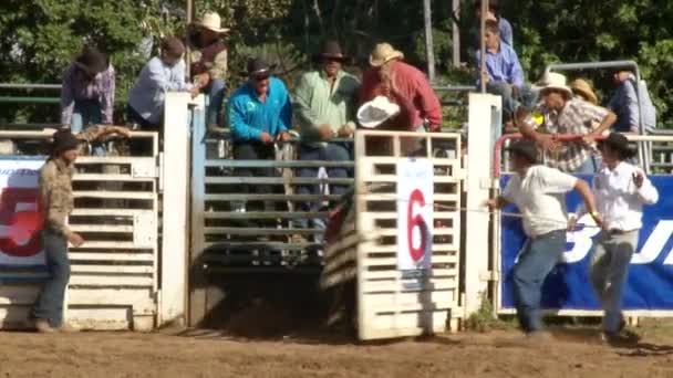 Rodeo cowboys - stier rijden in slow motion — Stockvideo