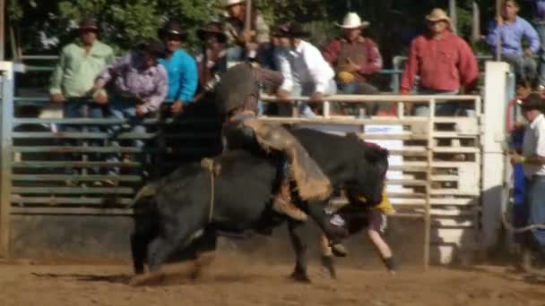 Rodeo Cowboys - Bull Riding in Slow Motion — Stock Video