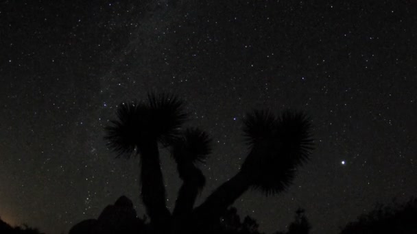 Lasso di tempo di stelle — Video Stock