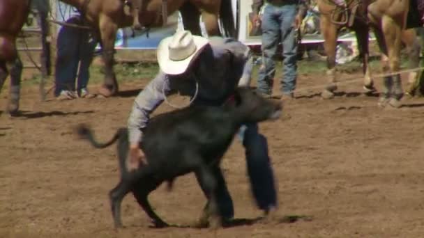 Rodeo Cowboys - Bezerro Roping em câmera lenta — Vídeo de Stock