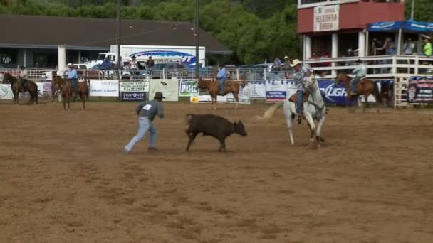 Rodeo Cowboys - Cuerda de ternera en cámara lenta — Vídeos de Stock