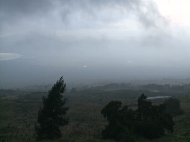 云层和树木的时间间隔 — 图库视频影像