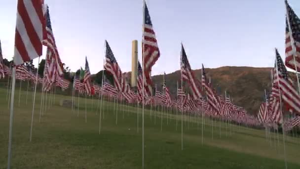 Tiempo de caducidad de banderas americanas — Vídeos de Stock