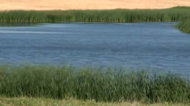 zaman atlamalı çim üfleme gölet.