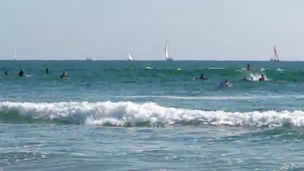 Santa monica beach surfare — Stockvideo