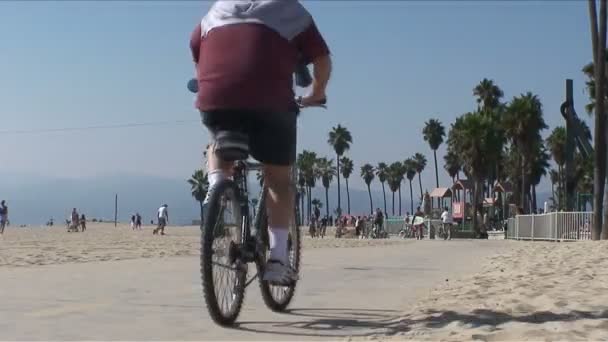 Santa Monica Beach - Timelapse — Wideo stockowe