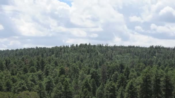 Облака над лесом Гранд-Каньона . — стоковое видео