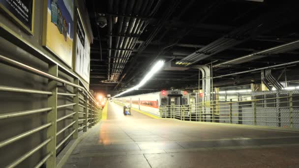 Grande stazione centrale Time lapse — Video Stock