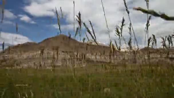 Parque Nacional Badlands. Pan de hierba — Vídeos de Stock