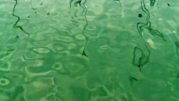 Acqua verde — Video Stock