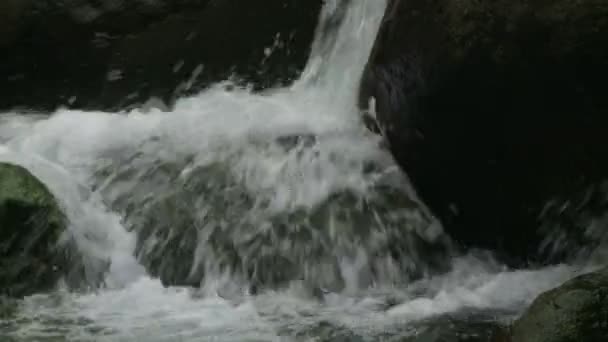 Calming Stream With Sound — Stock Video