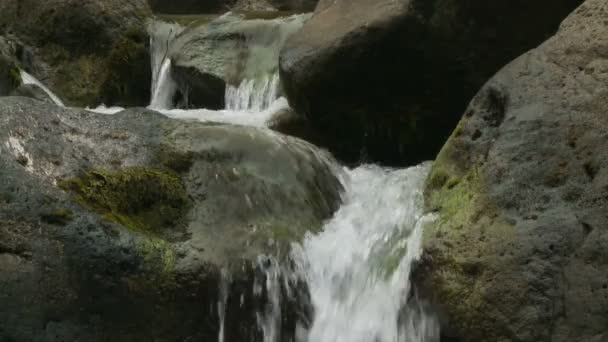 Agua de cámara lenta del Valle de Iao en Maui Hawaii — Vídeo de stock