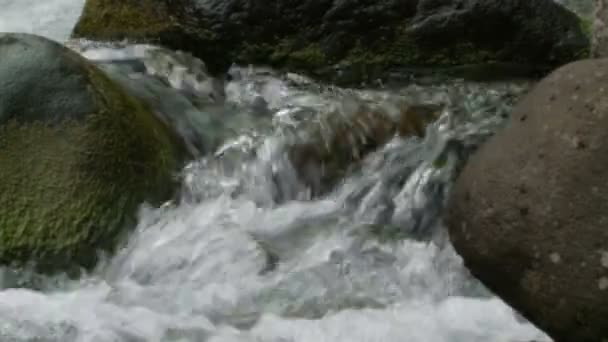 Slow motion water van de vallei van de iao in maui hawaii — Stockvideo