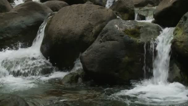 Slow motion water van de vallei van de iao in maui hawaii — Stockvideo