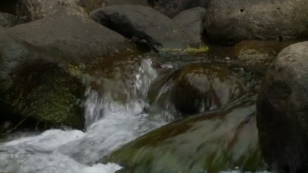 Повільний рух води з Iao долини в Мауї Гаваї — стокове відео