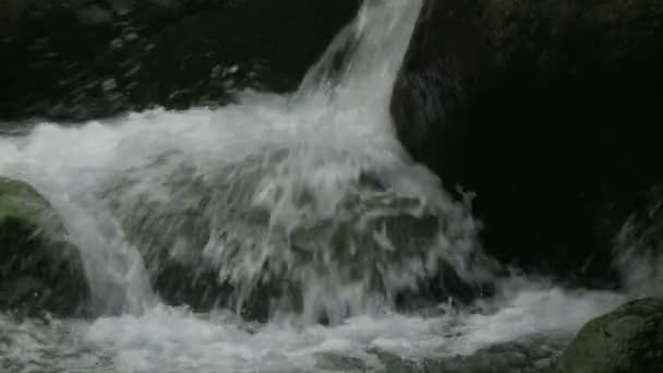 Wasser in Zeitlupe aus dem iao-Tal in maui hawaii — Stockvideo