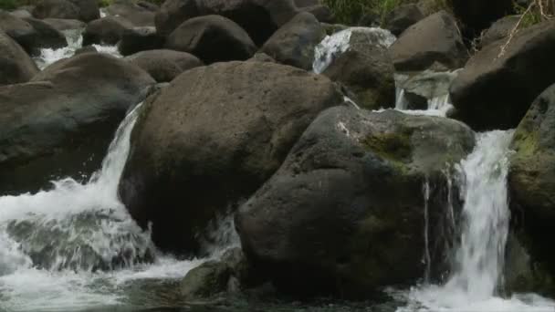 Slow motion water van de vallei van de iao in maui hawaii — Stockvideo