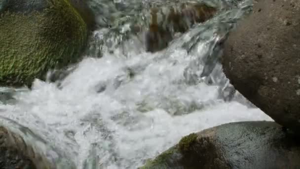 Slow motion water van de vallei van de iao in maui hawaii — Stockvideo