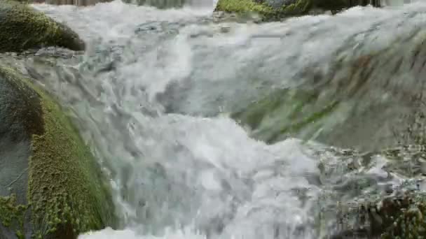 Flux apaisant avec son 