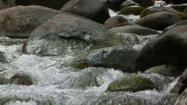 Slow Motion Water — Stock Video