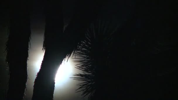 Temps écoulé de la pleine lune se levant derrière Joshua Tree — Video