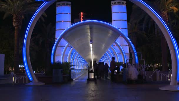 Neon de casino Las vegas - time-lapse — Video