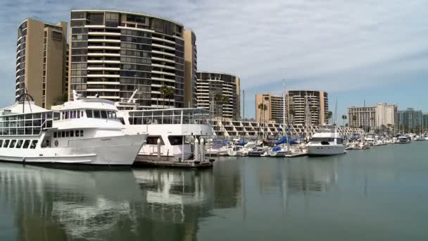 Marina Del Ray – Stock-video