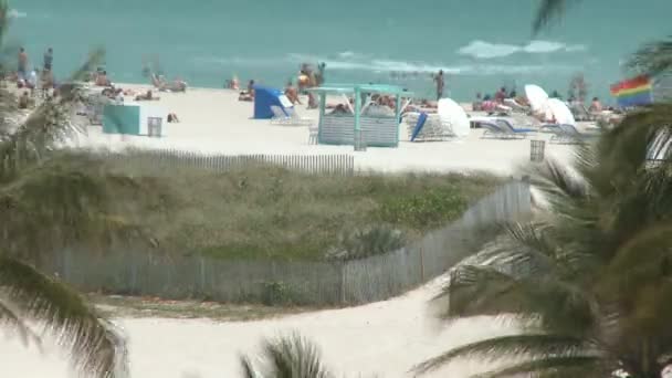 Zeitraffer des miami beach park — Stockvideo