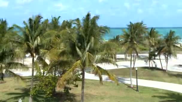 Проміжок часу Miami Beach Park — стокове відео
