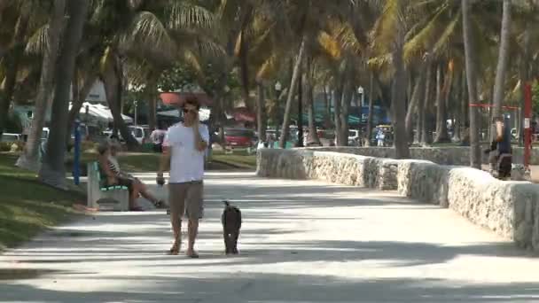 Idő telik el a Miami Beach Park — Stock videók