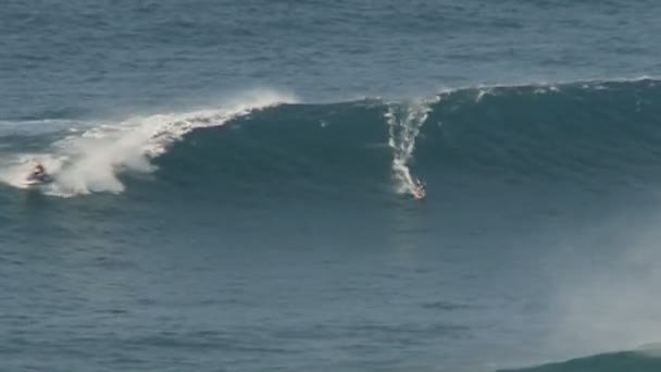 Surfistas de ondas grandes em Jaws, Maui Hawaii — Vídeo de Stock