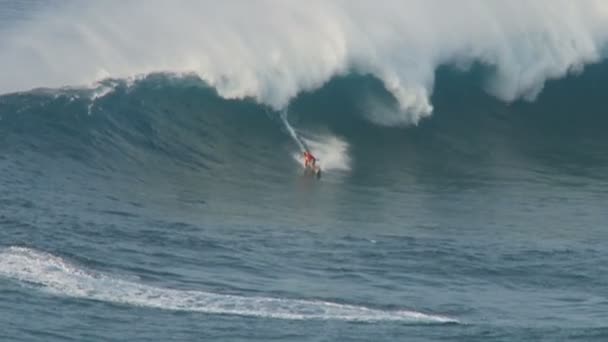 Surfistas de ondas grandes em Jaws, Maui Hawaii — Vídeo de Stock