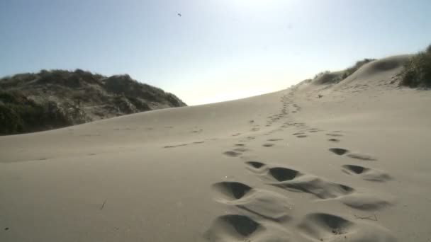 Death Valley idő telik el a homokdűnék, naplementekor — Stock videók