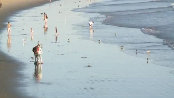 海滩人群-海浪的时间间隔 — 图库视频影像