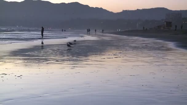 海滩人群-海浪的时间间隔 — 图库视频影像