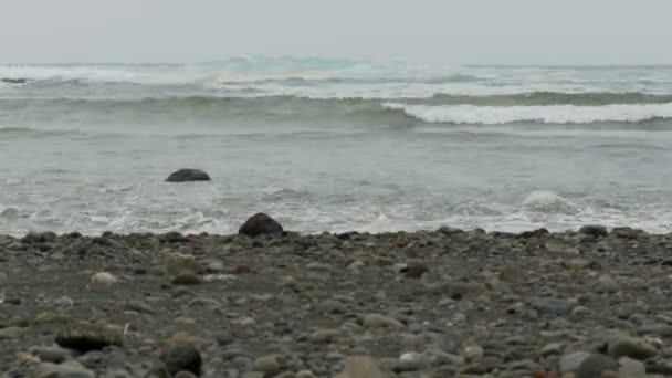 Délai de lavage des vagues sur le rivage — Video