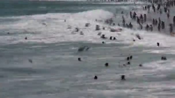 在圣塔莫尼卡-时间流逝拥挤的海滩 — 图库视频影像